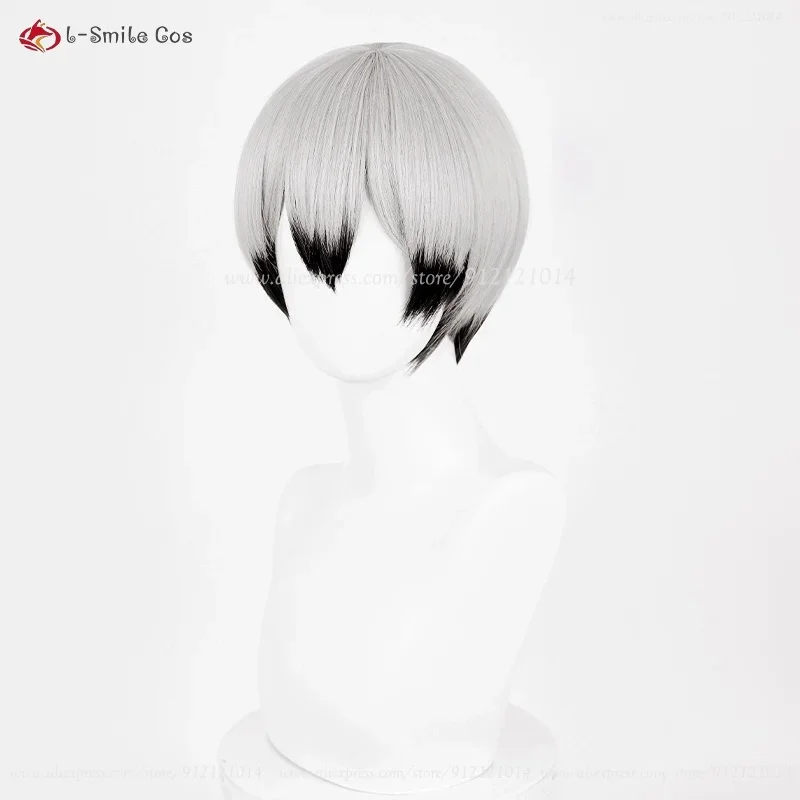 x;3,f6'b7\g, Shinsuke Kita 27cm Silver Gray Black Wigs Anime Cosplay Wig Heat Resistant Synthetic Ha5;h7'b8\f,4/ view 5