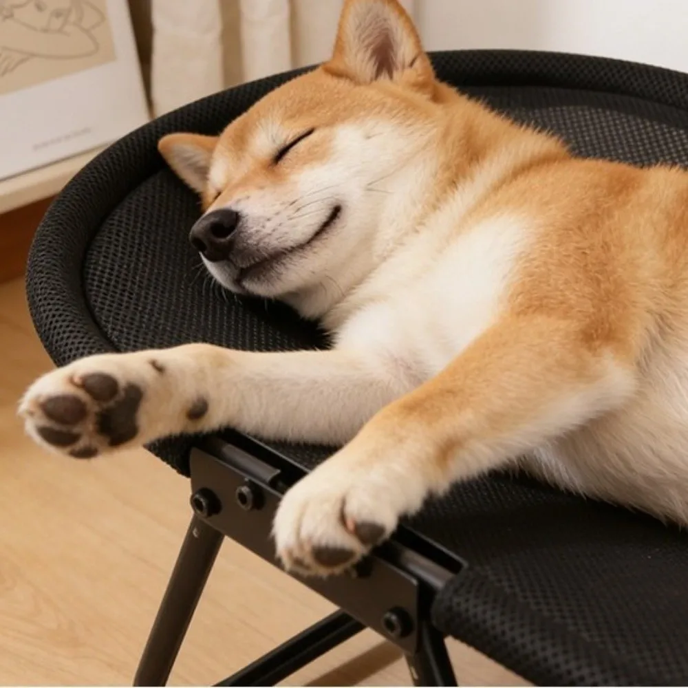 

Складная приподнятая кровать для собак, дышащая сетчатая овальная лежанка-диван для кошек, прочная рама, гамак для кошек, всесезонная кровать для кошек