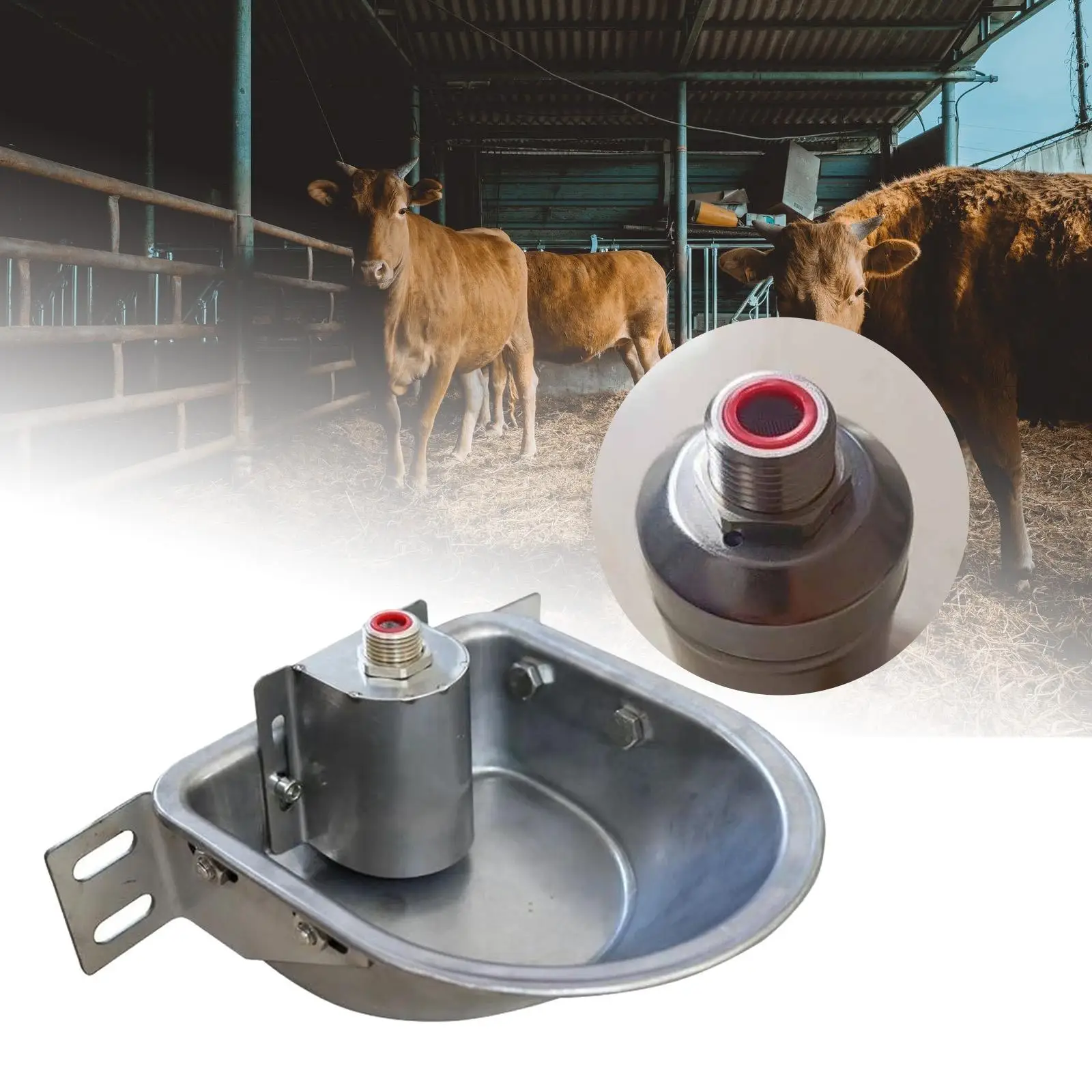 Rust Proof Stainless Steel Automatic Drinking Bowl Livestock Waterer Farm Animal Fountain for Dog Goat Pig Feeding