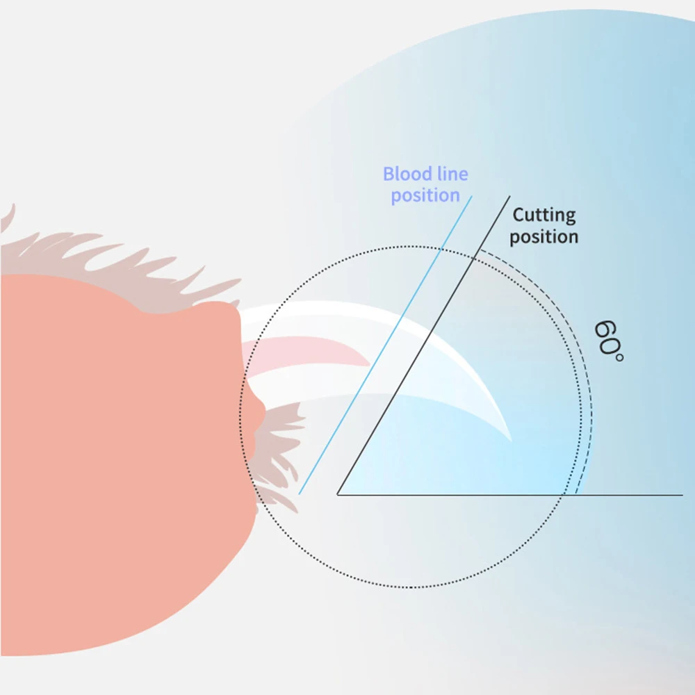 Thumbnail 3 - #63 Latest Scissors Updates