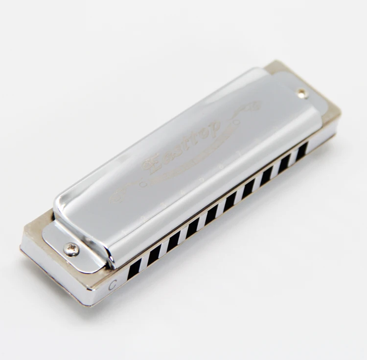 10-Hole Diatonic Blues Harmonica Silver Cover Plastic Box Music Practice Made Brass Comb C Major Phosphor Bronze