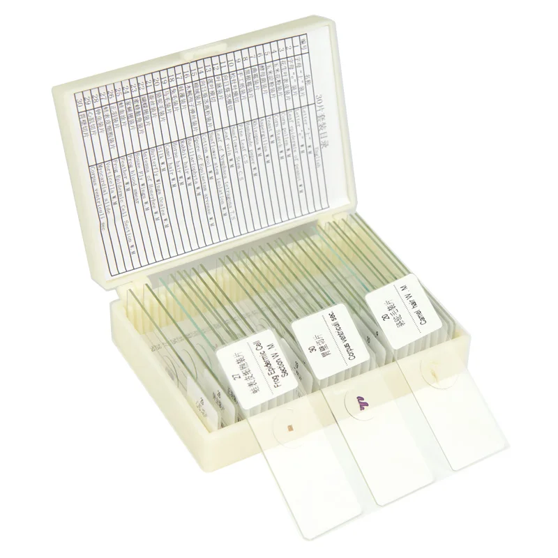 30PCS Microscope Prepared Slice Animal Plant Human Insect Specimen Glass Slides with Plastic Box