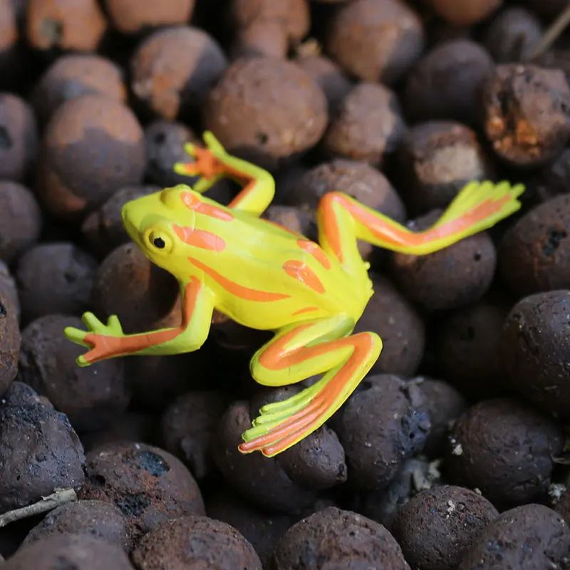 12pcs Mini Frogs,1 Grass and 1 stone Toy Set Small Realistic Frog Toy Decorations Frogs Rain Forest Lifelike Art Lawn decoration