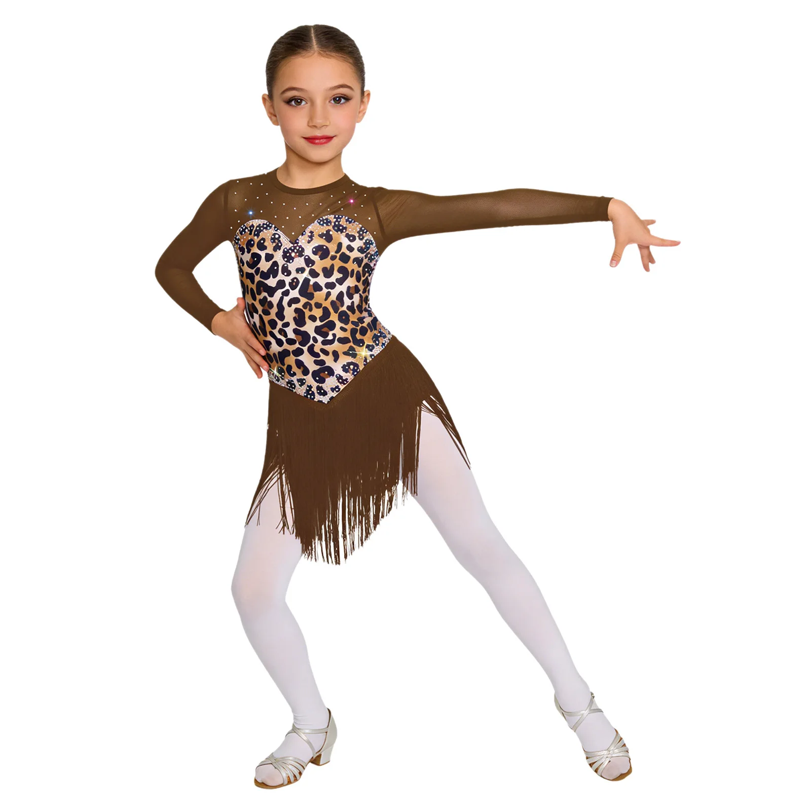 

Kids Girls Tassel Latin Dance Dress Mesh Long Sleeve Leopard Print Fringe Leotard Ballroom Samba Rumba Tango Performance Costume