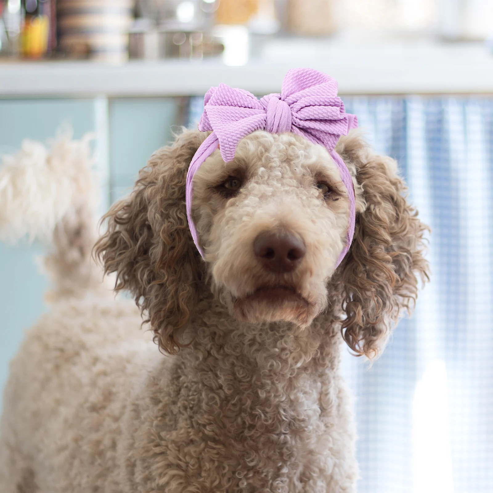

2Pcs Elastic Dog Headband Stylish Bow for Dog Pet Decor Item Comfortable Wearable Design for Puppy Birthday Celebration