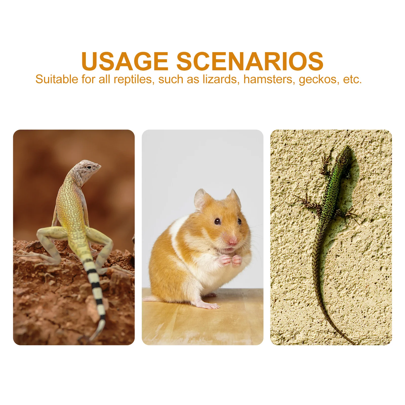 

8Pcs Small Animal Playpen Cage Fence Piece Safe Durable Exercise Pen for Hamster Bunny Guinea Hedgehogs Chinchillas