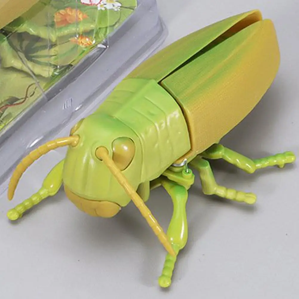 Windup Mechanical Insect Toy Realistic Crawling Beetle Bug Action Model Novelty Educational Toy Gift