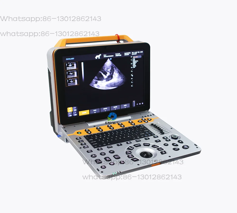 1pcs NEW  EUR VET Portable P60 Digital Scanning System for Animal Color 3D Veterinary Equipment