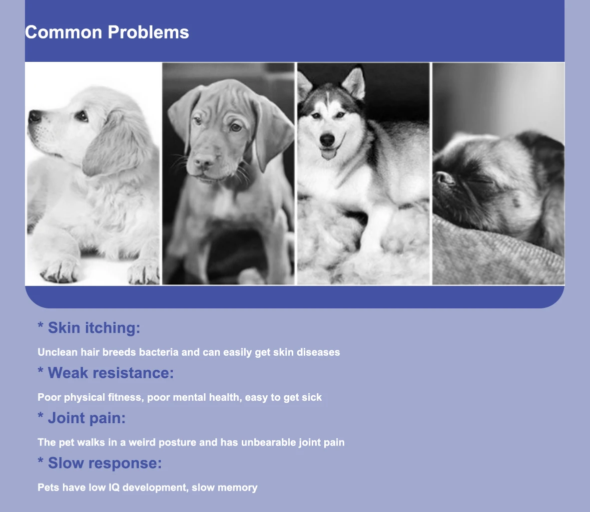 زيت السلمون المعتمد من البيطري سعة 300 مل للحيوانات الأليفة - يقلل من التساقط، ويدعم المناعة، وصحة المفاصل، والمعطف اللامع ووظيفة القلب