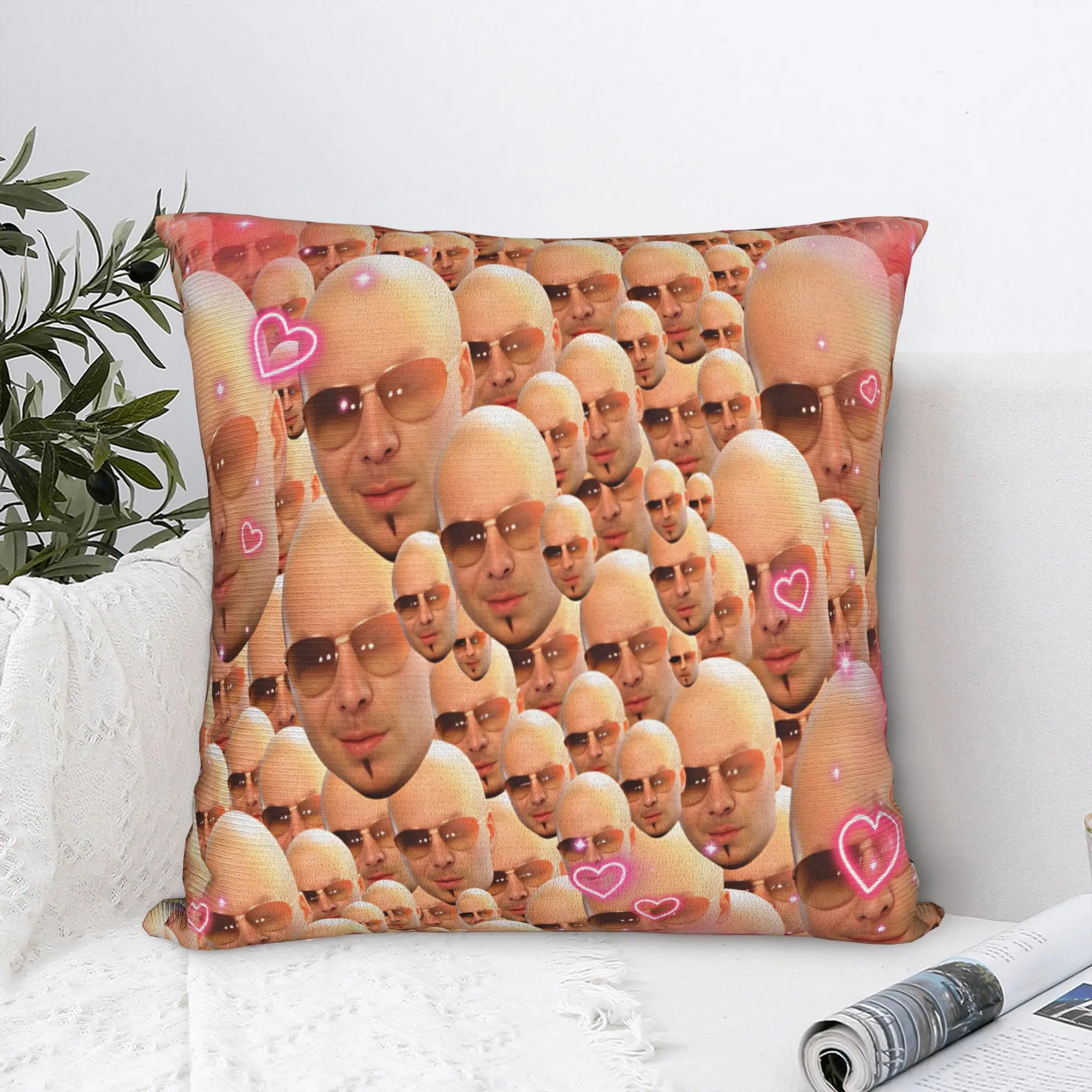 Pillow Cover Pitbull Mr Worldwide Tour  Vintage Pillow Case For Living Room Chair Pillowcases