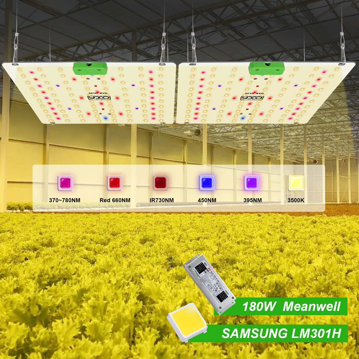 Plantes lumière 150W 240W 320W Led élèvent la lumière IP65 Phyto lampe spectre complet Tube hydroponique lampe serre fleur graine grandir tente