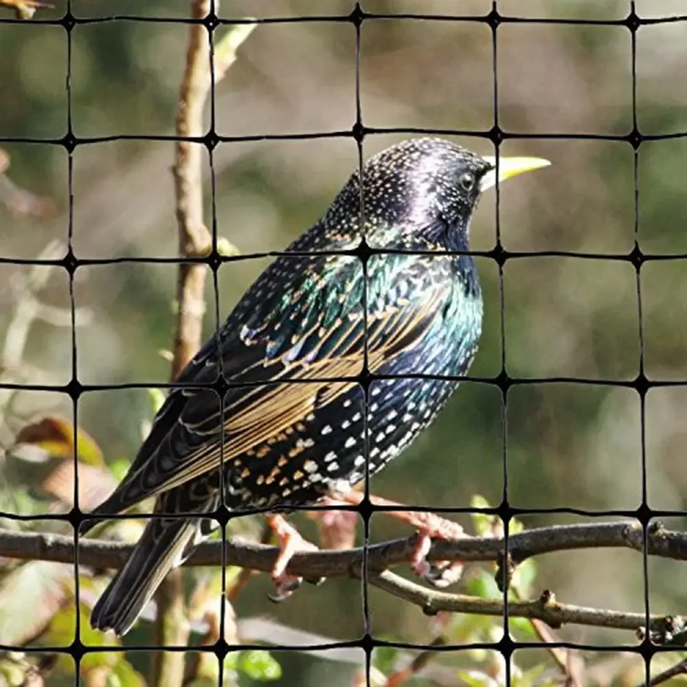 

Standard Mesh Bird Netting Gardens Vents and Gardens Durable UV-Stabilized Net with 3/4" Holes Reliable Bird Exclusion Solution