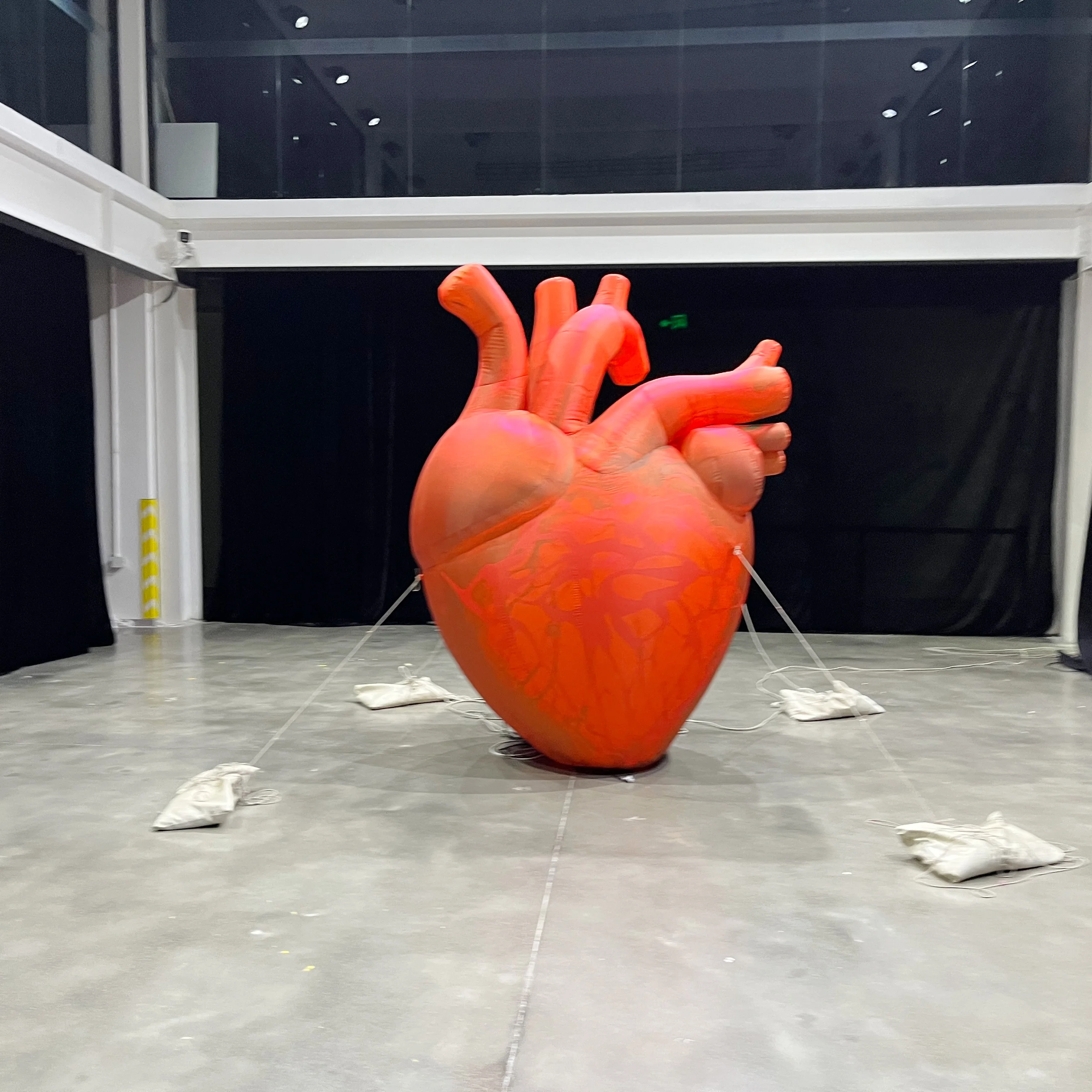 Realistic Inflatable Human 3D Heart Model for Medical Education & Clinic Promotions Giant Inflatable Heart Organ Model