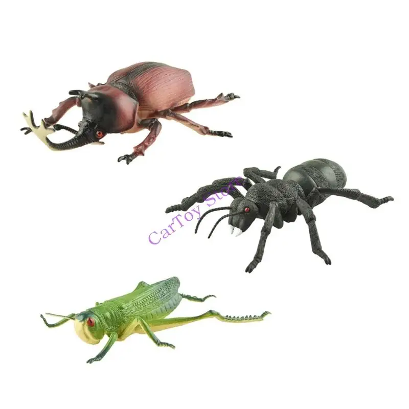 Estatueta modelo insetos PVC, treinamento observação haste, brinquedo aprendizagem científica, 3 peças
