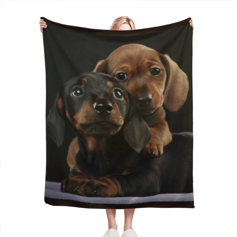 Dachshund Dog portrait photo pupies Soft Velvet Blanket Lightweight Bed Blanket Home Decor Fleece Blanket