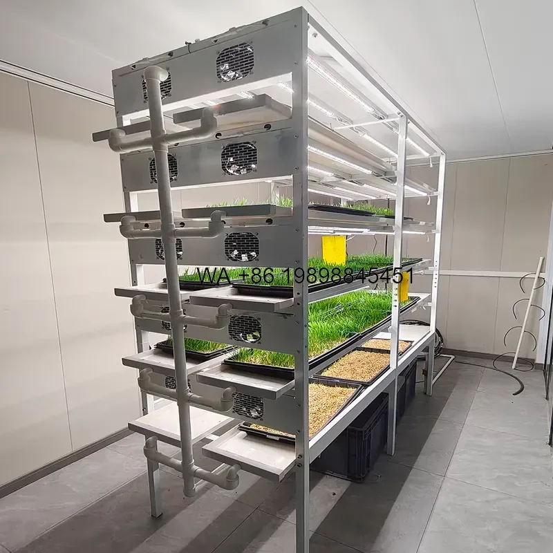 Wmwmnu Multi Tier Hydroponic Forage Fodder Vertical Growing System Sprouting Tray Barley Grow Rack for Sale