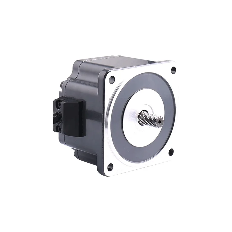 

geared motor 24V low voltage 220V high voltage low speed brushless motor motor
