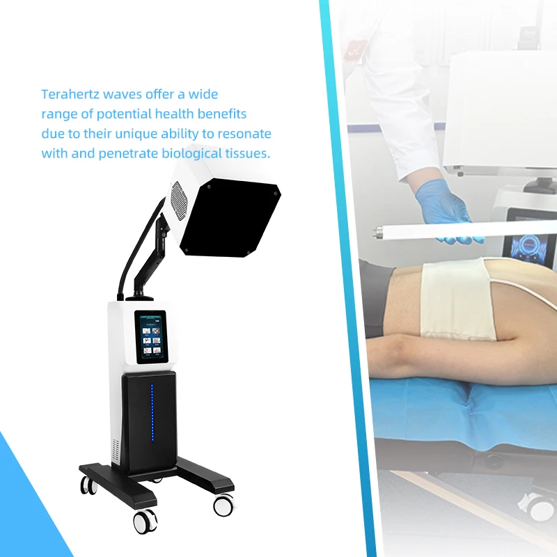 Physiotherapy Professional Terahertz Therapy Machine Qi and Blood Circulation Meridian Therapy Machine Body Massager