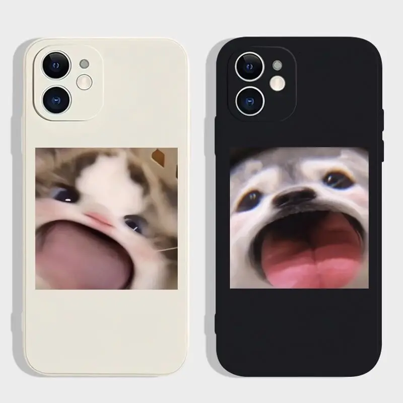 Nette hund katze telefon fall für iphone 11 13 pro max 14 plus 12 mini Stoßfest silikon abdeckung für iphone xr xs x 7 plus 8 se2 se3 6