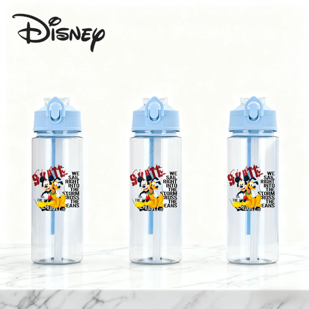 Novo disney minnie mouse bonito dos desenhos animados copo de palha meninas crianças estudantes resistente a gota novo verão vidro de água bonito