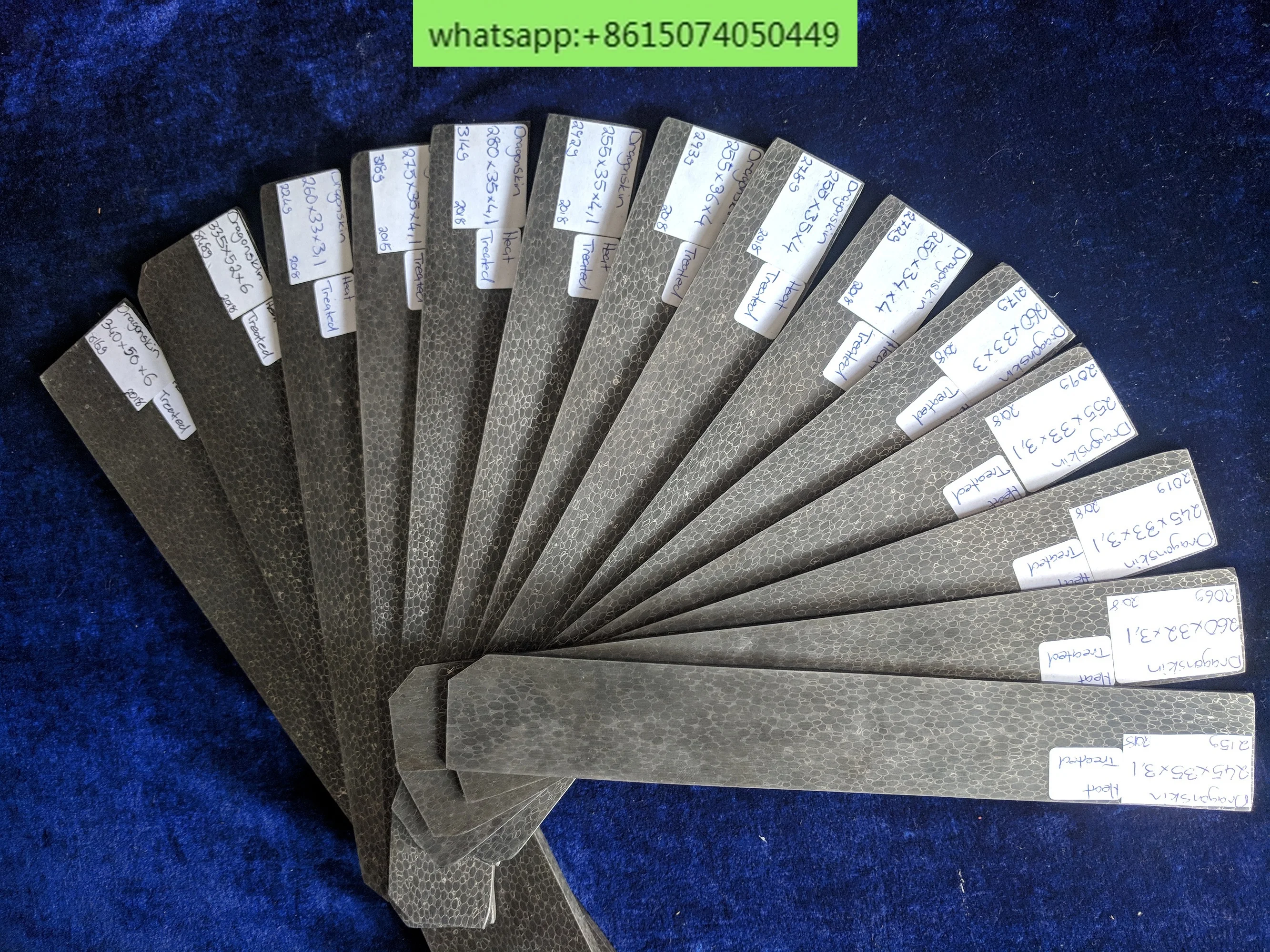 Dragon scale carbon horse