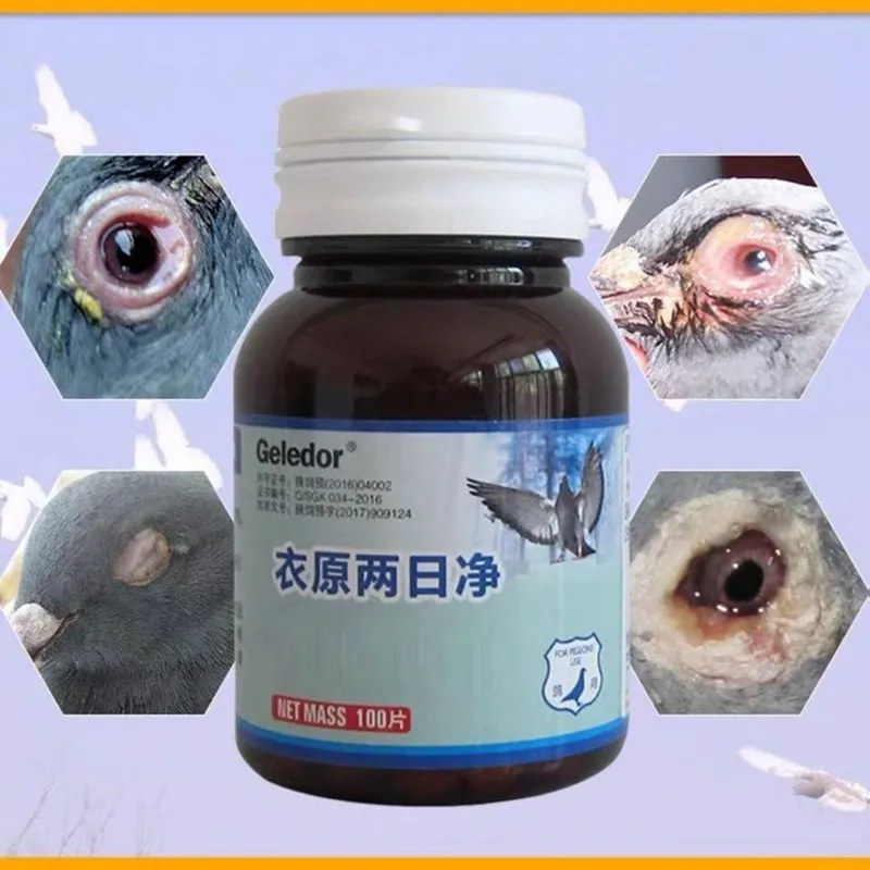 Pigeon Chlamydia Two Days Net Single Eye Cold Cough Not Flying Throat Infection Thick Phlegm 100 Tablets