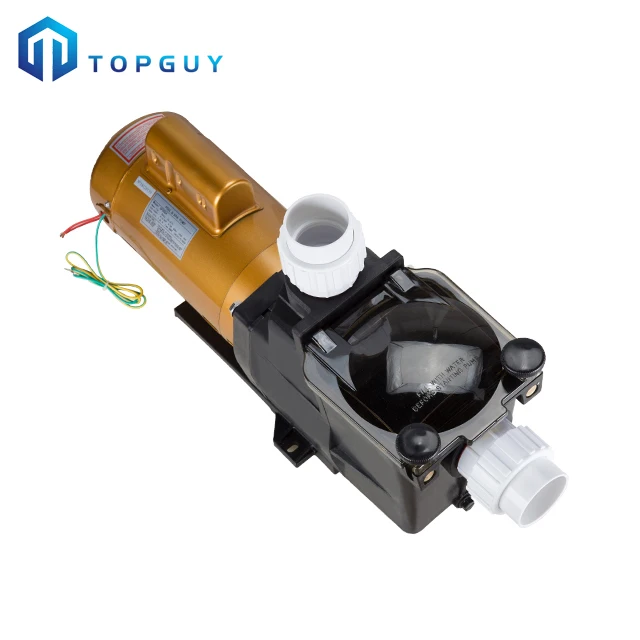 Hot 3 HP 50Hz 380V Single Phase Max Rated Pump for Swimming Pool Sand Filter System Water Filtration Application