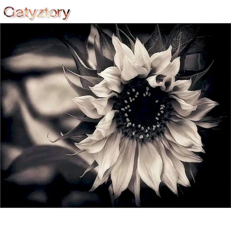 

GATYZTORY Modern Painting By Numbers Paint Kit Black Sunflower Painting Numbers Adults Crafts Diy Gift Home Decors Cavas Paintin