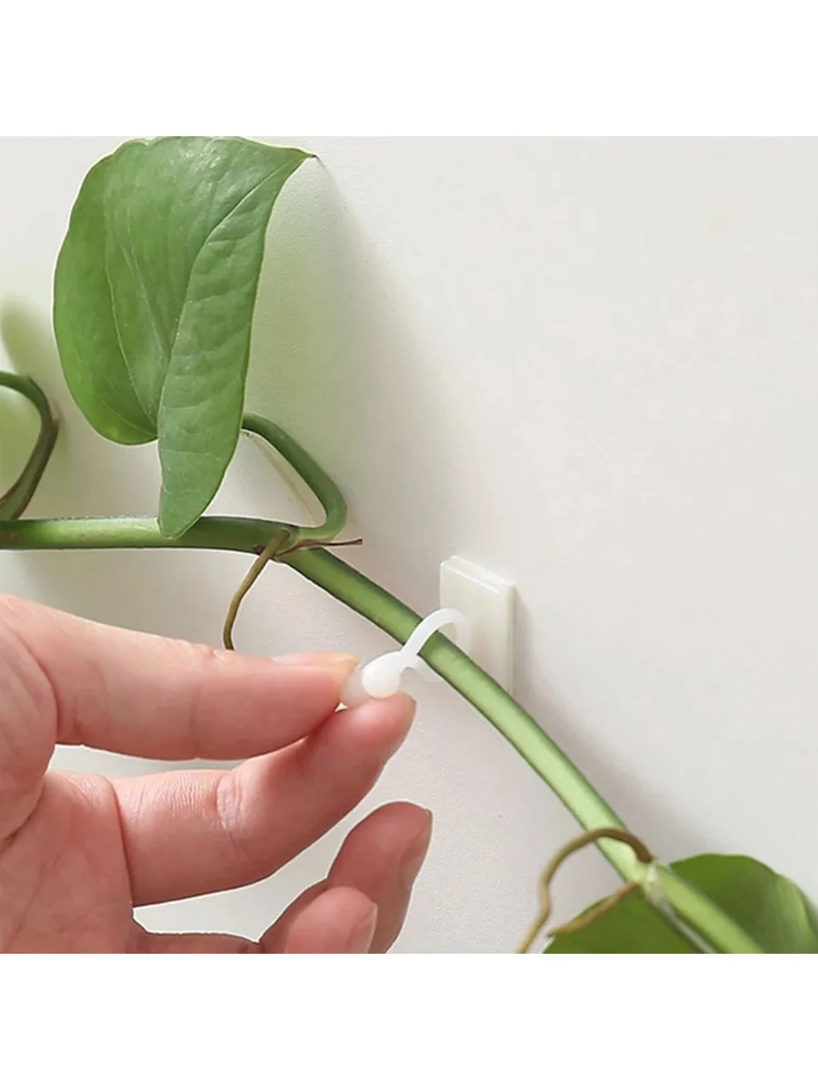 10 Stück Gartenpflanzen-Kletterwand-Fixierclips, Selbstklebende Rankenhalter, Pflanzenkletterwand-Befestigungshaken