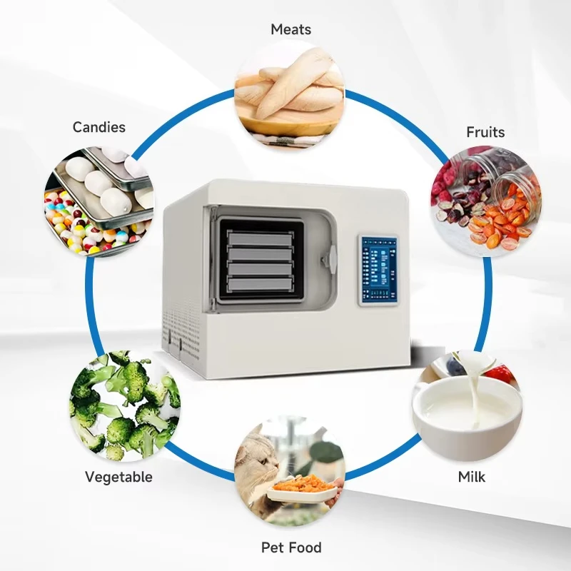 China Factory Seller Lyophilizer Vacuum Dryer Sublimation