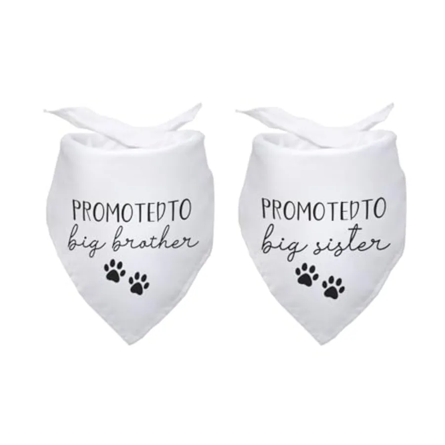 Promoted To Big Bro…