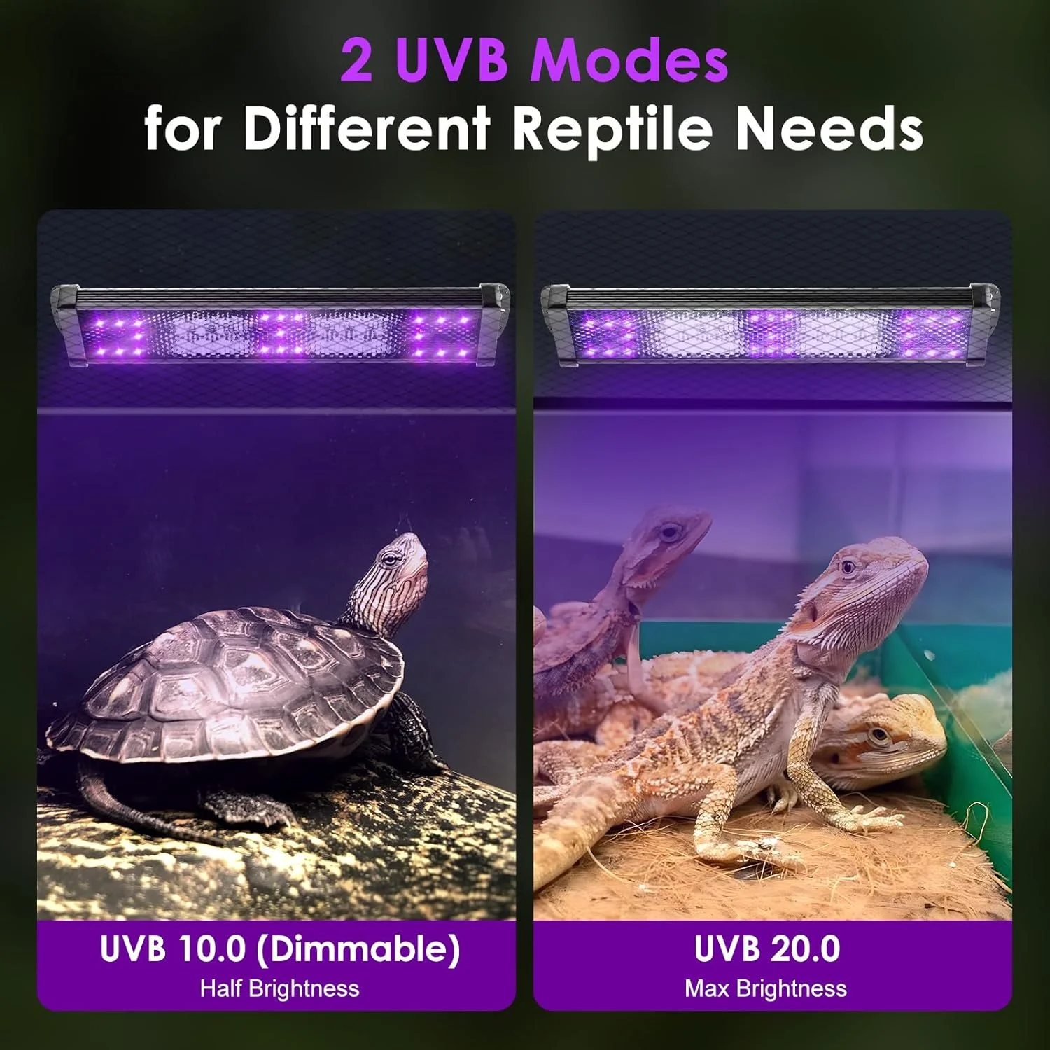 UVA+UVB Reptile Full Spectrum LED Light Turtle Lizard Snake Terrarium Sunbathe Heat Lamp 10.0 20.0 Sun Lamp Sunbathe Heat Lamp - Image 2