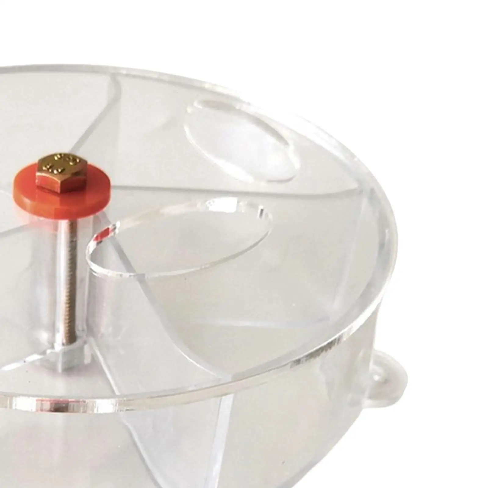 عجلة علف للببغاوات الكبيرة ، حاوية بذور ، محمولة للببغاء ، كوكاتيل ، وجبات خفيفة قفص الطيور ، ألعاب علف الطيور