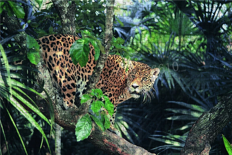 Wild Animals Big Cats Jigsaw Puzzles 300/500/1000 Pieces Feline Mammals Nature Jaguars Puzzles for Adults Educational Game Toys