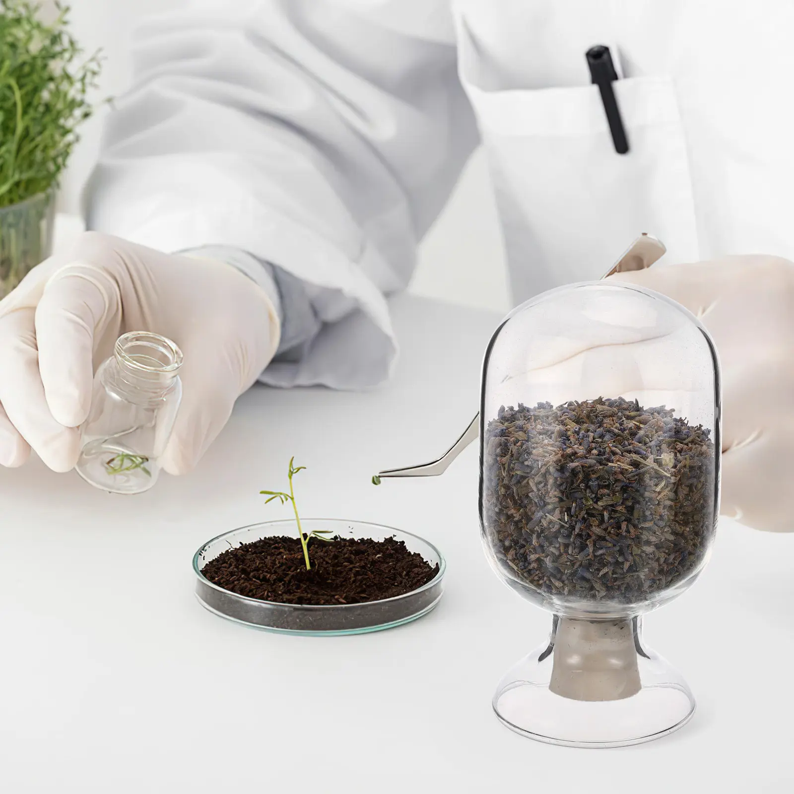 

Стеклянная прозрачная банка-контейнер для образцов с пробкой для экспериментальных исследований и лабораторного использования