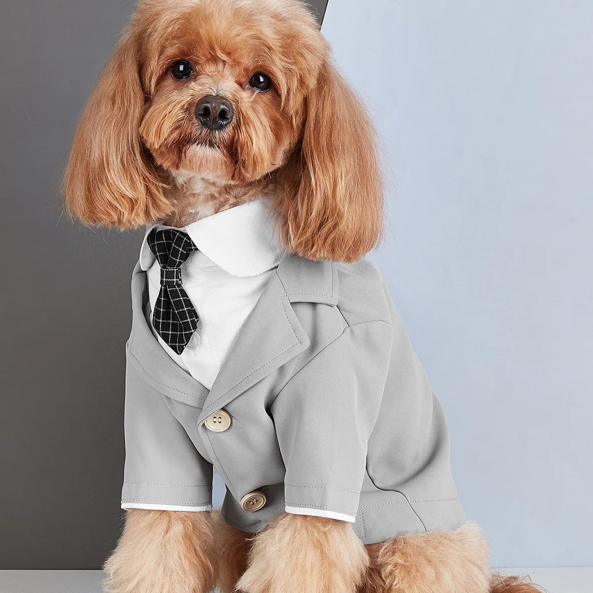 

Mini Tuxedo Outfit for Small Dogs - Classic Pretend Suit for Poodles & Bichons, Formal Pet Costume with Bow Tie