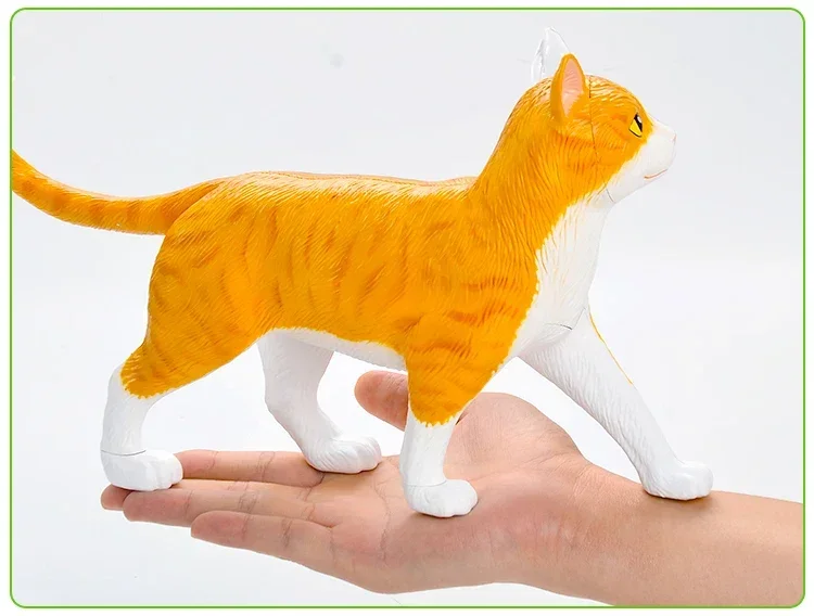 

4D Master Black and White Cat Anatomical Visceral Skeleton Group Assembly Model Detachable Artificial Animal Doll Ornament
