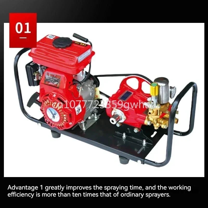 Power spray Four stroke gasoline high-pressure agricultural orchard spray Portable thick pump head GM-BB2