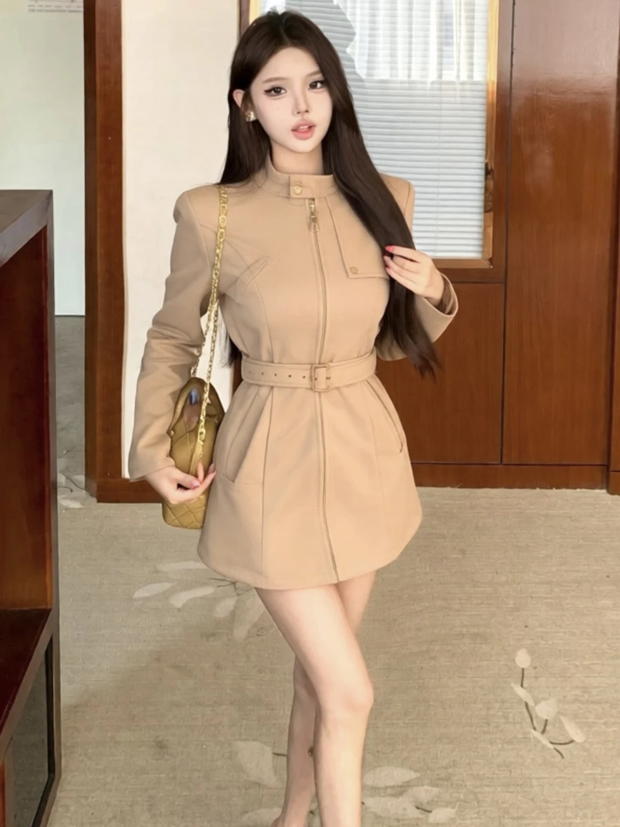 Elegant Autumn Winter Stand Collar Slim Fit Air Layered Dress with Belt Women's Fashionable Casual Zipper Style A-Line Skirt