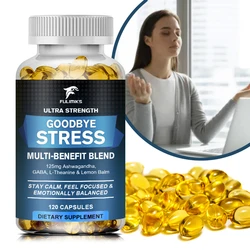 Goodbye Stress Capsules - Contains GABA, L-Theanine To Relieve Mood and Stress, Gluten-free