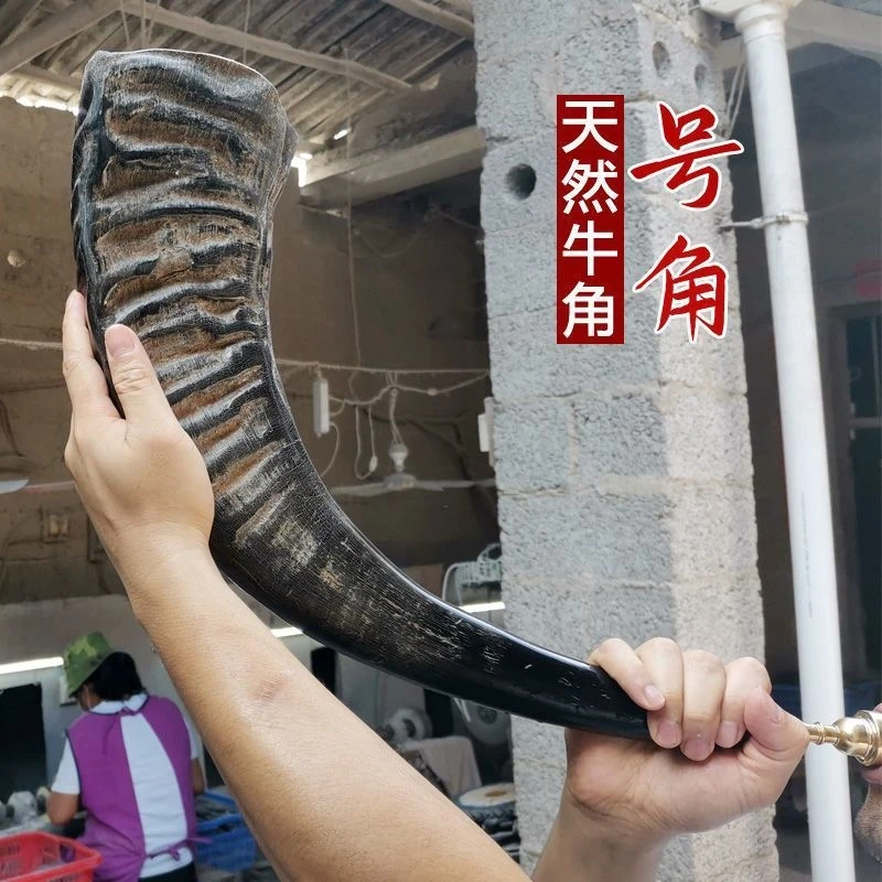 Black buffalo horn trumpet, a distinctive craft , musical instrument, religious ethnic folk customs prop, and cere
