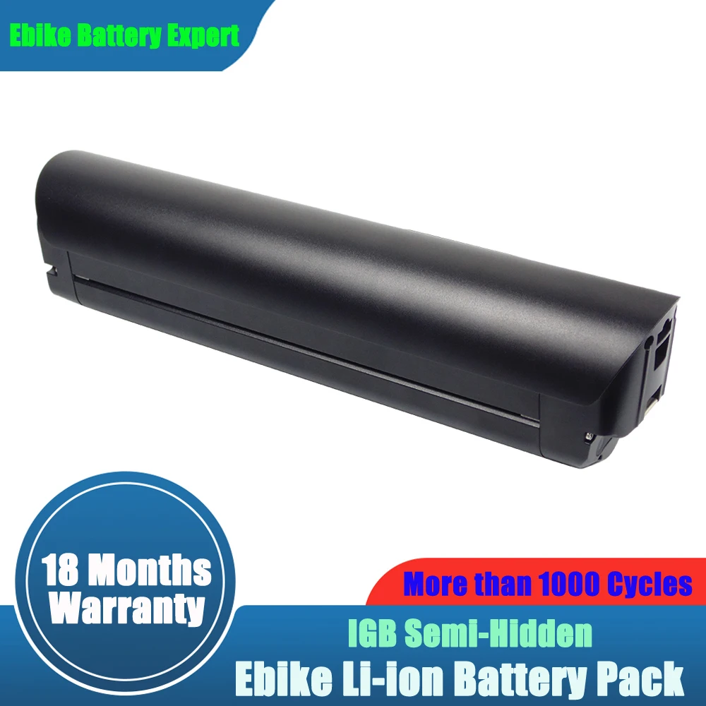 Large capacity Landfill Battery 48V15Ah Lithium ion for 500W Flyer M880 The Everyday Utility Ebike KODIAK D20