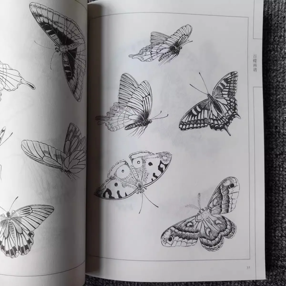 كتاب تلوين للكبار 94 صفحة مائة فراشات مجموعة رسم الخط الصيني لتخفيف التوتر والاسترخاء كتاب الرسم الفني #5