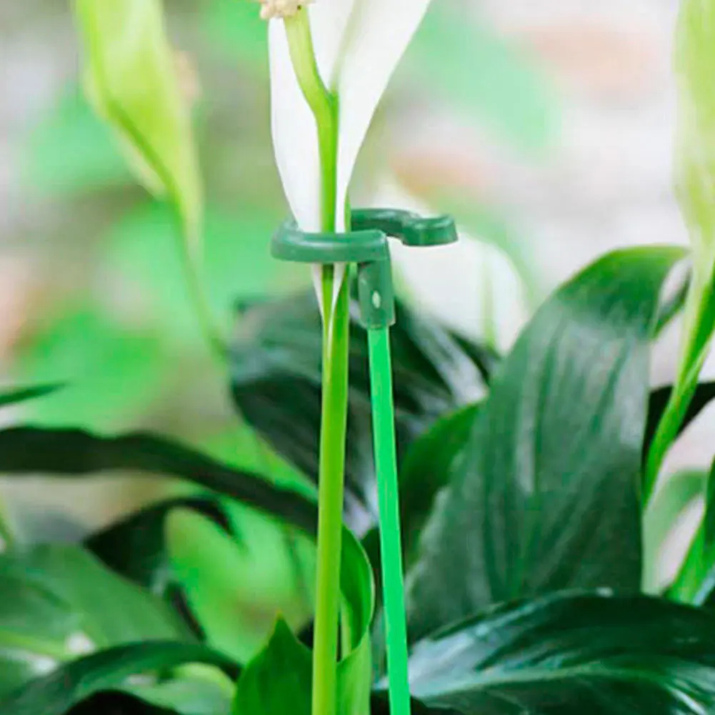 10/30 Pack 17/27/37/48cm Flower Stakes Reusable Single Plant Stem Flower Support Rod for Tomatoes Orchid Lily Peony Rose Flower
