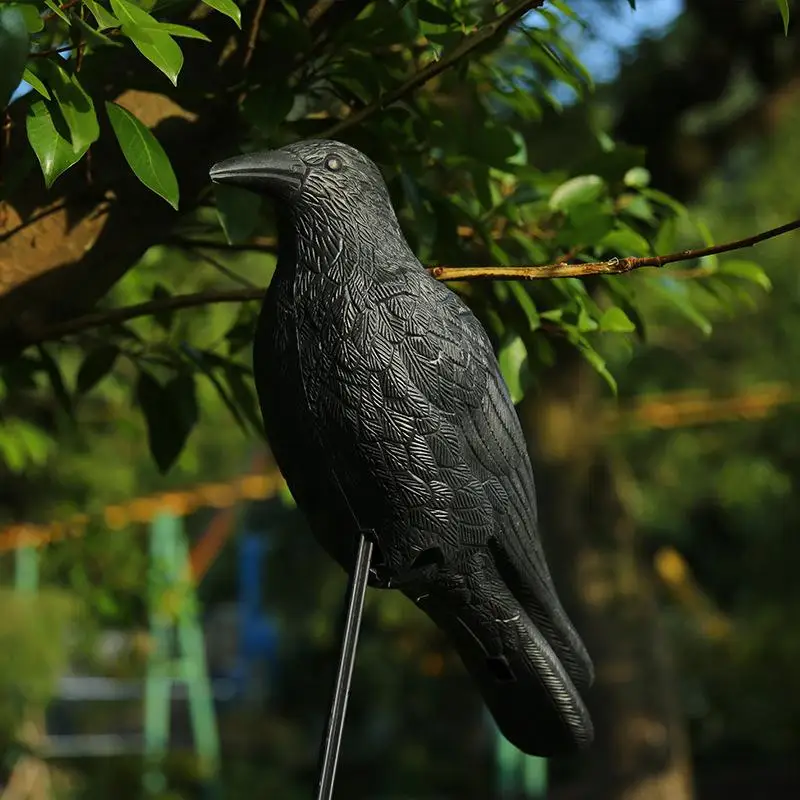 Bird Control Black Raven Crow Decoy for Garden Pigeon Scare Realistic Design Effective