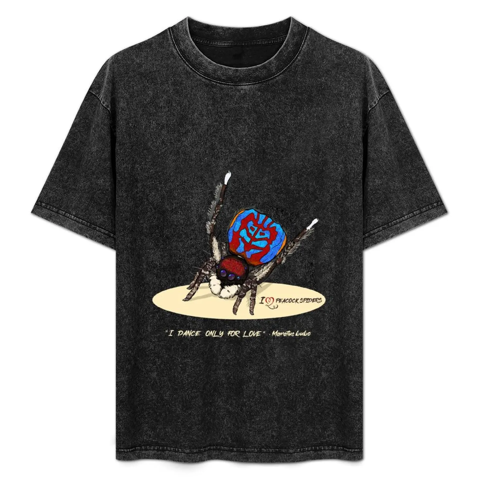 Peacock spider T-Shirt kawaii clothes cotton graphic tees oversized t shirt plus sizes shirts men