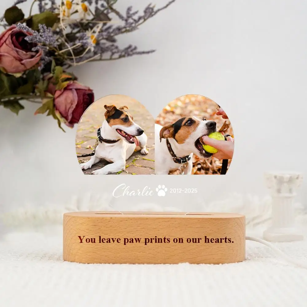 

Персонализированная светодиодная ночная лампа-плакетка с фото питомца для памяти о его жизни, настраиваемая под заказ, для создания незабываемых моментов.