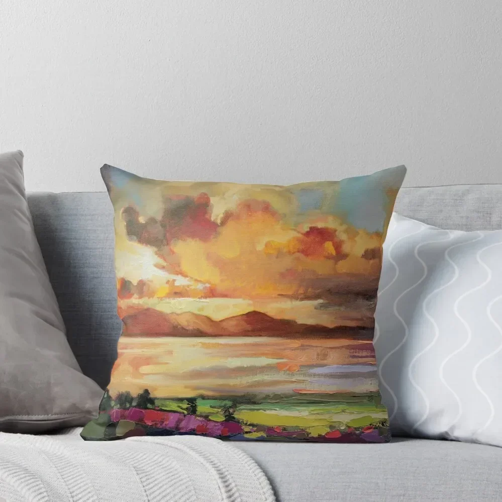 Arran Optimism Throw Pillow Sofa Covers Pillow Cover pillowcases for sofa cushions Sofa Cushions pillow