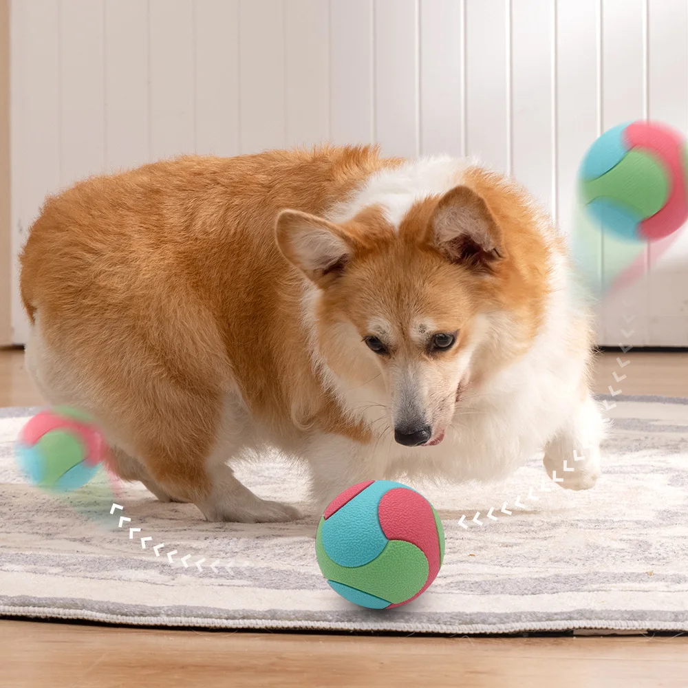 Thumbnail 4 - #52 Trending Dog Fetch Toys Right Now