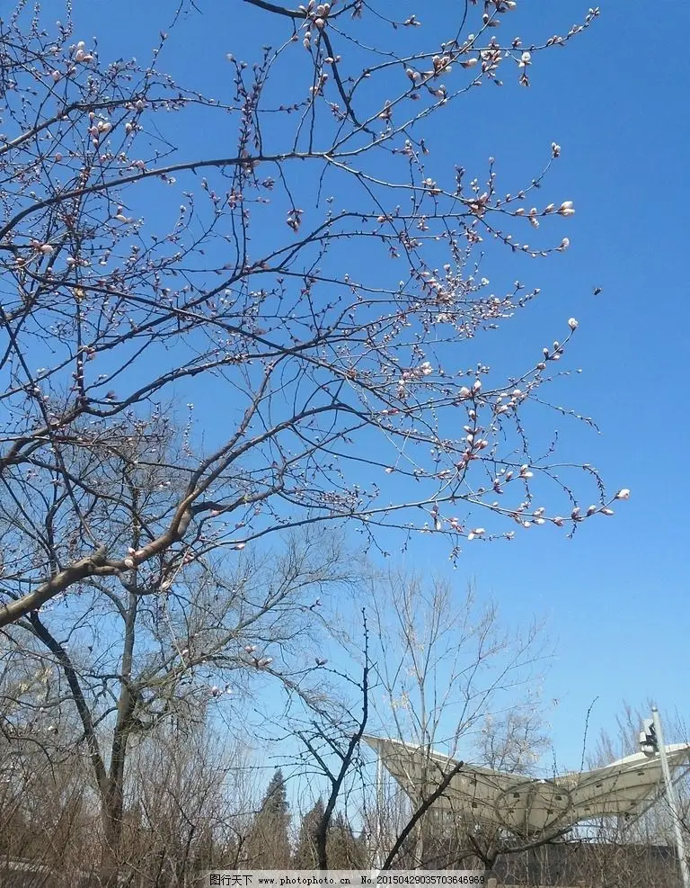 

FOR Tamiya TT02S SR SRX LY233 Carbon Fiber Lower Stop Plate Lower Arm Baffle RC Car Upgrade Part